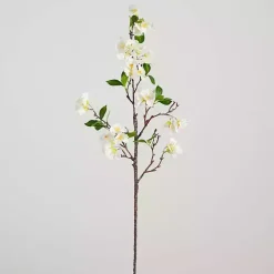 Stems & Bouquets><noscript><img width=
