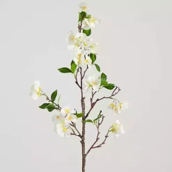 Stems & Bouquets><noscript><img width=