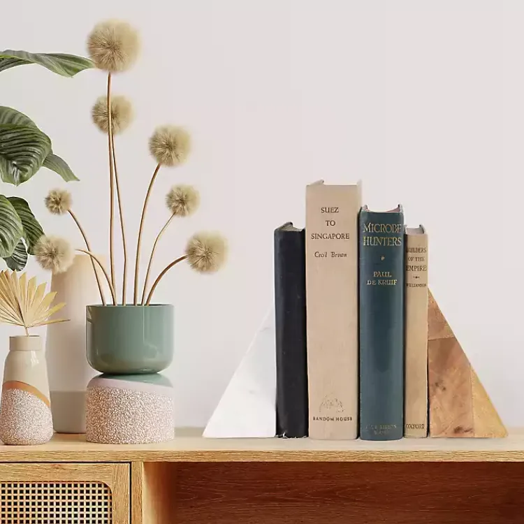 Decorative Accents>Kirklands Home White Marble & Mango Wood Bookends