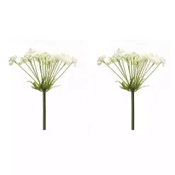 Stems & Bouquets>Kirklands Home Queen Anne's Lace Stems, Set of 2 White