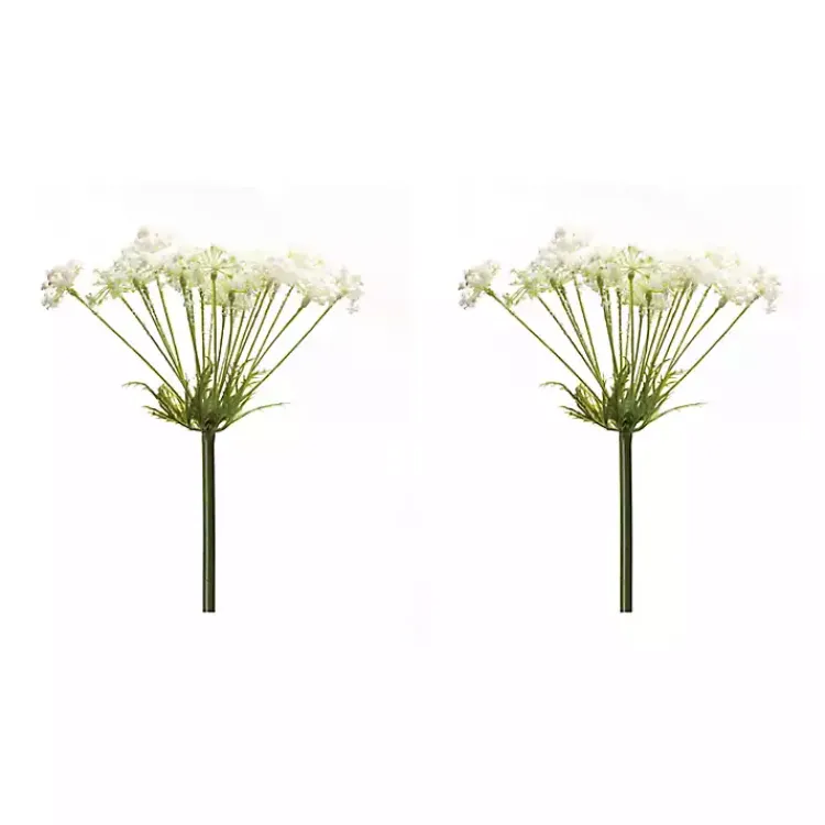 Stems & Bouquets>Kirklands Home Queen Anne's Lace Stems, Set of 2 White