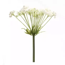 Stems & Bouquets>Kirklands Home Queen Anne's Lace Stems, Set of 2 White