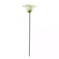 Stems & Bouquets><noscript><img width=