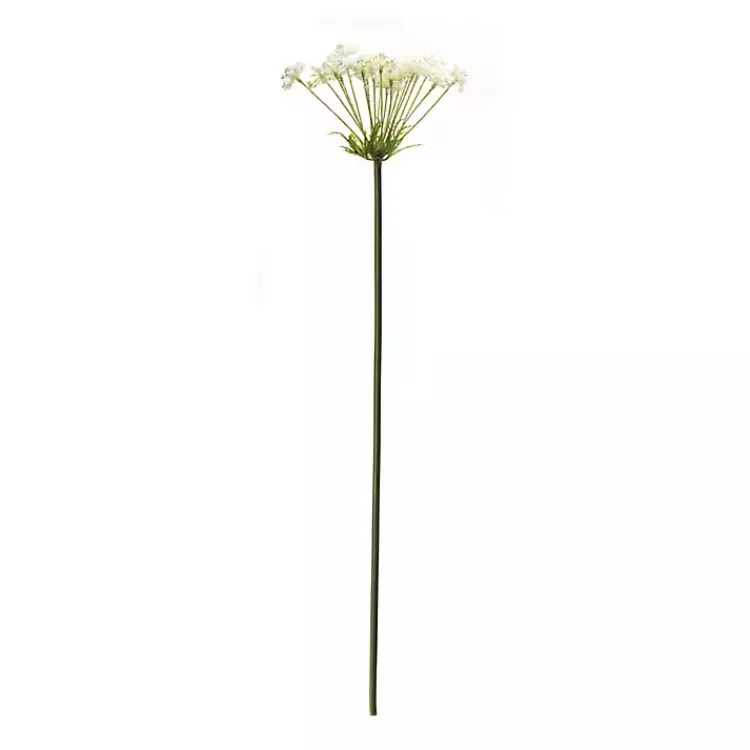 Stems & Bouquets>Kirklands Home Queen Anne's Lace Stems, Set of 2 White
