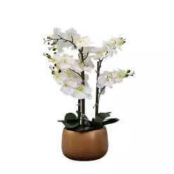 Arrangements & Greenery>Kirklands Home White Real Touch Orchid Arrangement in Gold Pot