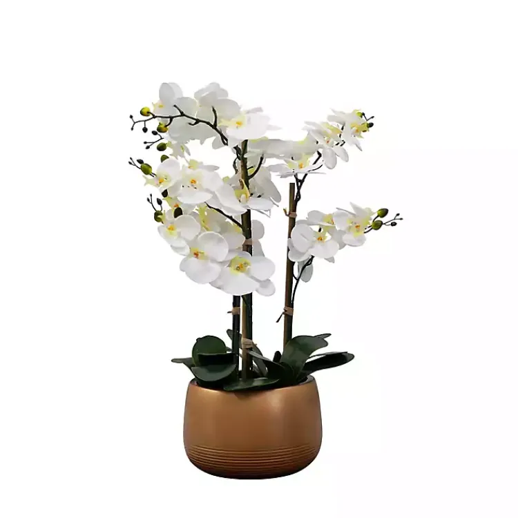 Arrangements & Greenery>Kirklands Home White Real Touch Orchid Arrangement in Gold Pot