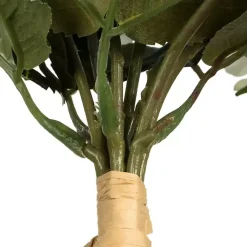 Stems & Bouquets><noscript><img width=