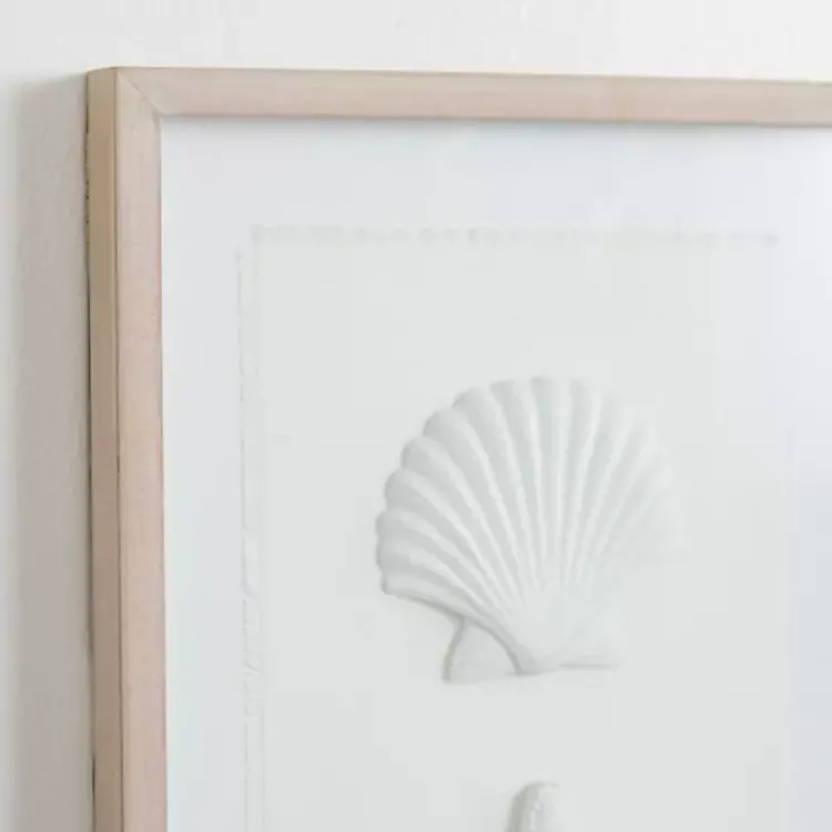 Kirklands Home Shells Shadowbox Wall Plaque White Outlet
