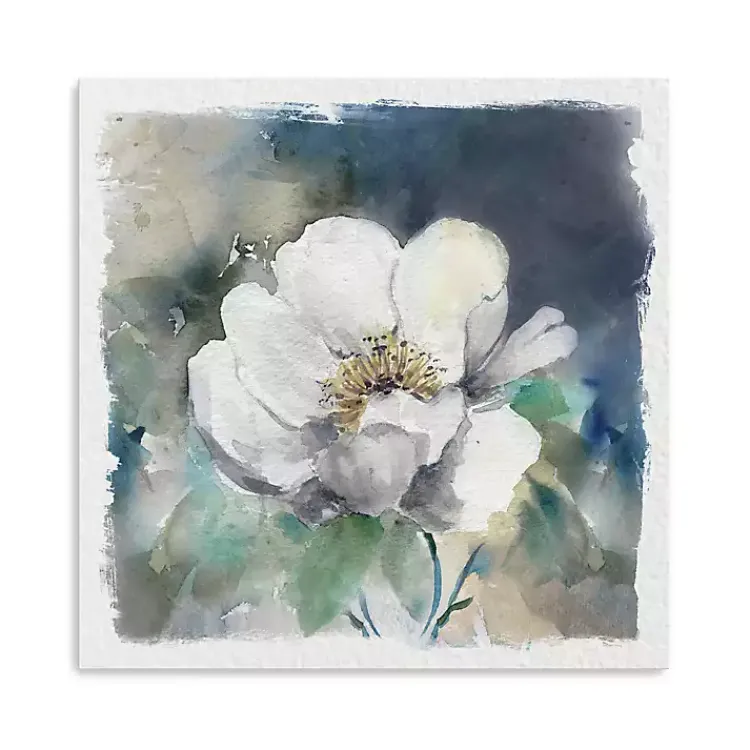 Kirklands Home Whitewashed Peony Canvas Art Print New