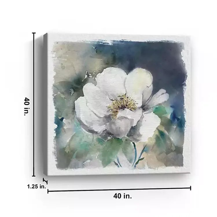 Kirklands Home Whitewashed Peony Canvas Art Print New