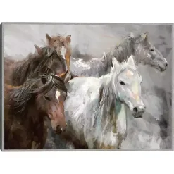Kirklands Home Wild Ride Framed Canvas Art Print Hot