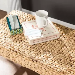 Kirklands Home Wiley Woven Hyacinth Bench with White Base Best