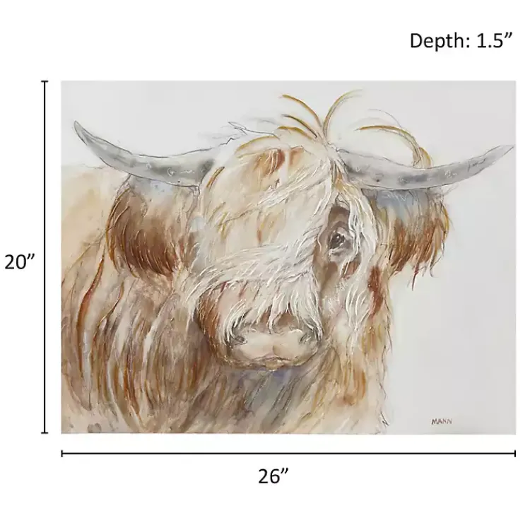 Kirklands Home Windswept Highland Bull Canvas Art Print New