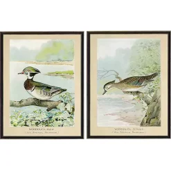 Kirklands Home Wood Duck Duo Framed Art Prints, Set of 2