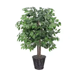 Trees & Topiaries>Kirklands Home Wood Trunk Ficus Bush in Rattan Basket