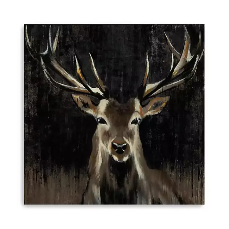 Kirklands Home Young Buck Giclee Canvas Art Print, 40x40 in. Black