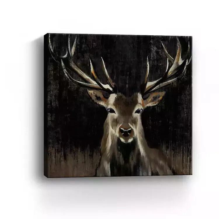 Kirklands Home Young Buck Giclee Canvas Art Print, 40x40 in. Black