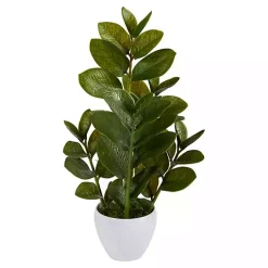 Arrangements & Greenery>Kirklands Home Zamioculcas Plant in Chic White Planter
