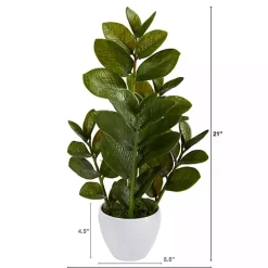 Arrangements & Greenery>Kirklands Home Zamioculcas Plant in Chic White Planter