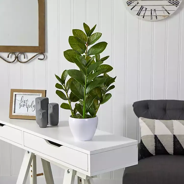 Arrangements & Greenery>Kirklands Home Zamioculcas Plant in Chic White Planter